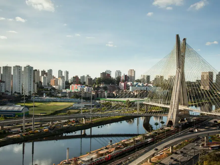 transplante capilar em São Paulo